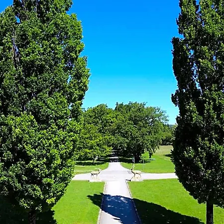 Hotel Schloss Hoehenried *